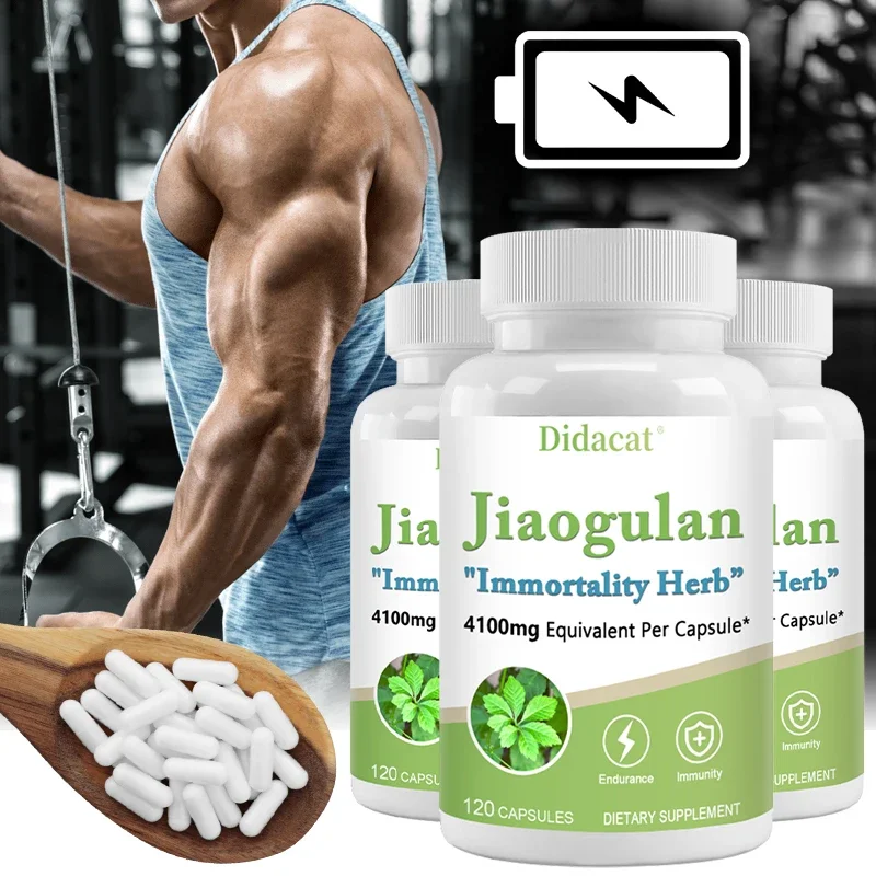 Jiaogulan Dietary Supplement To Help Improve Immunity and Support Durability