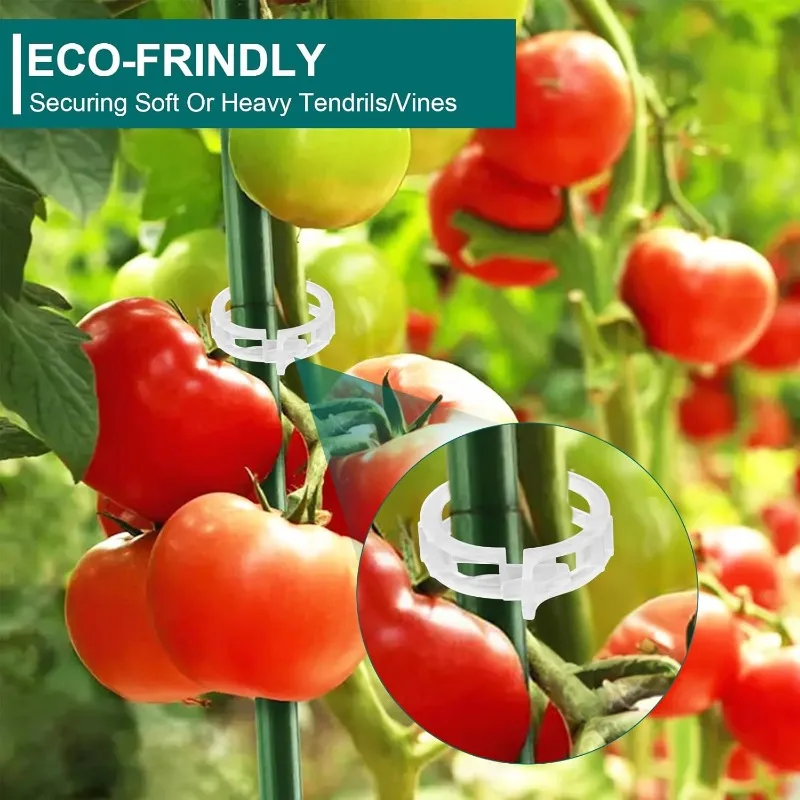 500/50 szt. Plastikowe klipsy wspierające rośliny roślina winorośl wielokrotnego użytku łączy narzędzie do mocowania szczepienia pomidorów