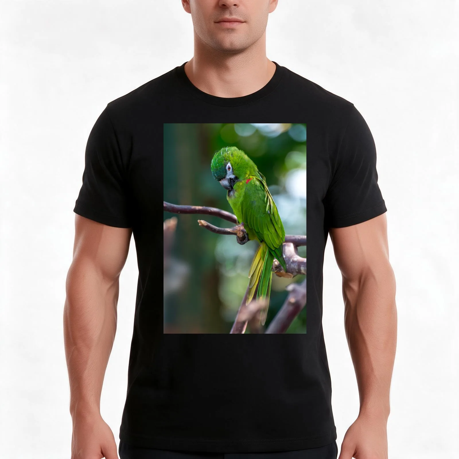 Hahn's Macaws Men T Shirt man t shirt graphic