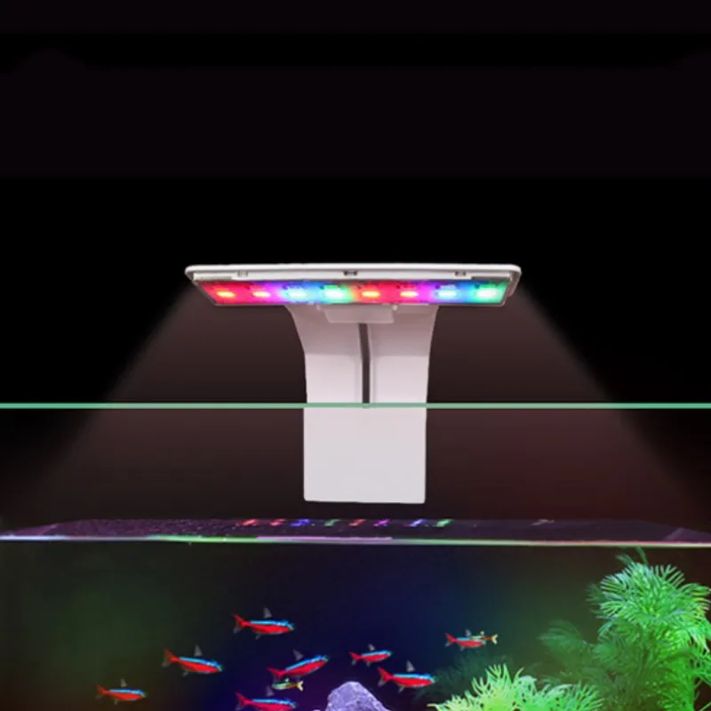 Multicolor Led Ligh…
