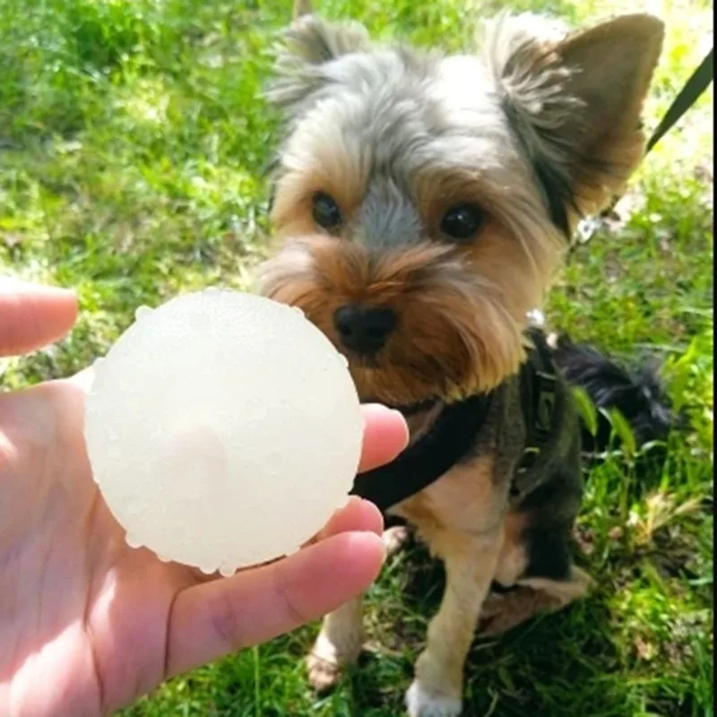 Pelota de entrenamiento para perros y gatos, pelota de rebote sólida reflectante, juguete interactivo para cachorros, suministros para mascotas