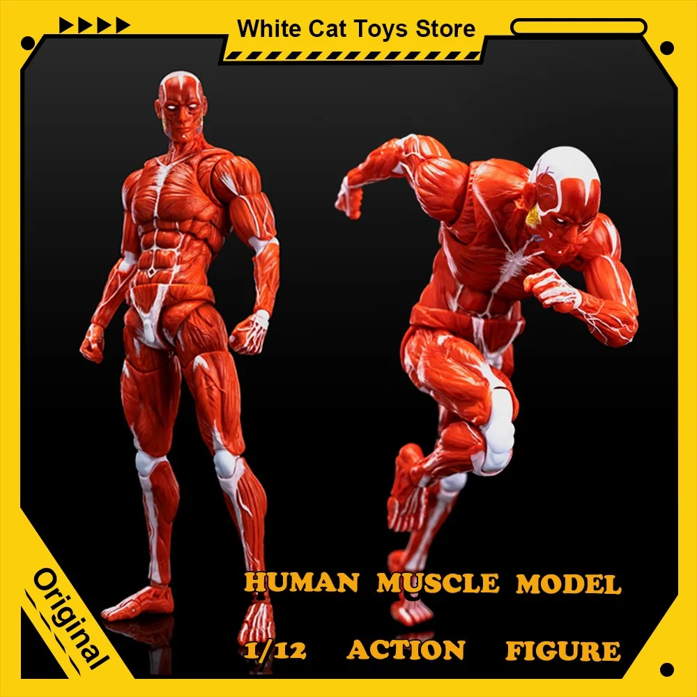 Wan Chao 1/12 modelo de músculo humano figura de acción 6 pulgadas soldado masculino rojo gris cuerpo Flexible figura de Anime modelo móvil conjunto
