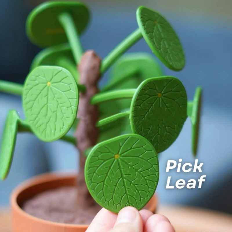 Creative Picks Dinner Decider ที่ถอดออกได้ใบและที่มองไม่เห็น Money Dining ประสบการณ์ของขวัญสำหรับนักชิม 15UB