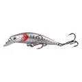 Silverfish