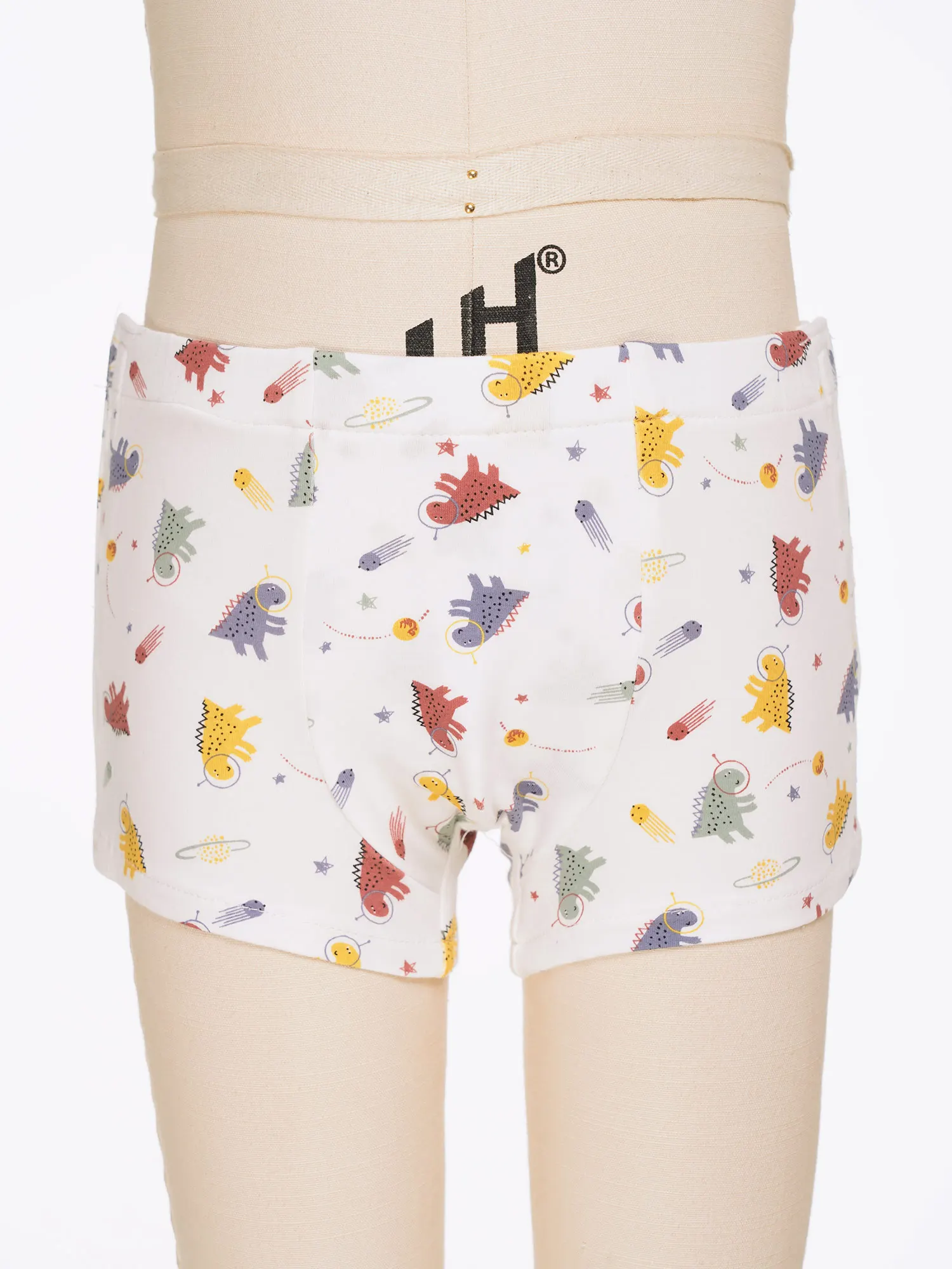 Kids Boys Cute Printed Shorts Full-open Hook-and-loop Fastener Elastic Waistband Underpants Postoperative Care Underwear