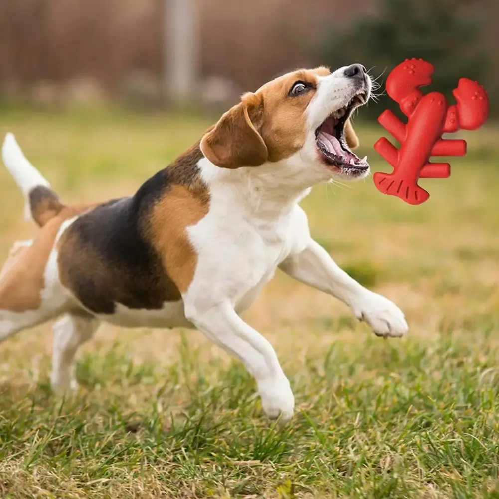 Jouet à mâcher coule pour chiens, mâcheurs agressifs, forme de ster corrigée, jouet de dentition pour chiens, entraînement en toute sécurité, livres de dents, jouets pour chiots