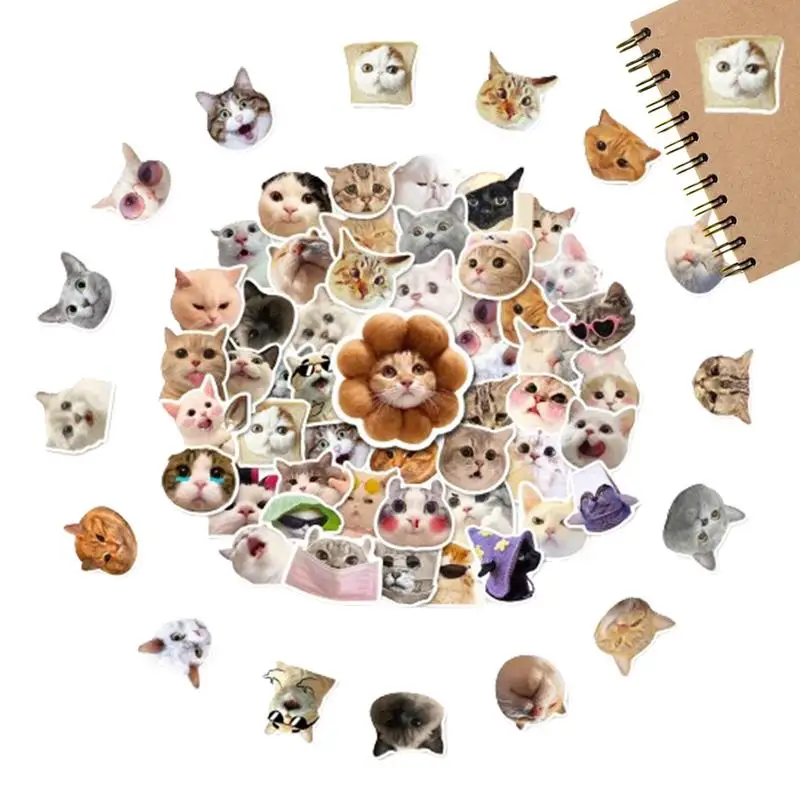 Pak stiker kucing lucu tahan air stiker kucing realistis dan beruntung untuk Laptop sepeda ponsel Skateboard hadiah untuk anak-anak