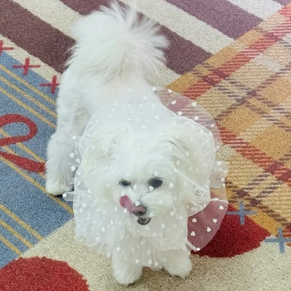 

Mesh Pet Anti-Mosquito Headgear Breathable Love/Wave Point Pattern Dog Decorative Headgear Adjustable Dog Protective Mask