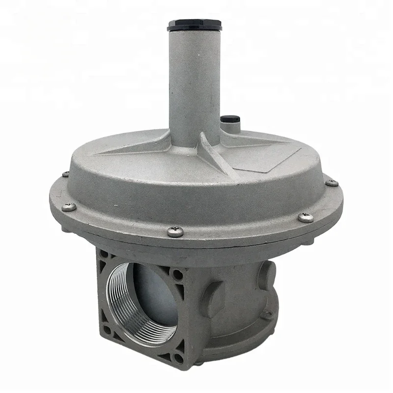 

Natural gas pressure regulator with DN15 to DN50 filter