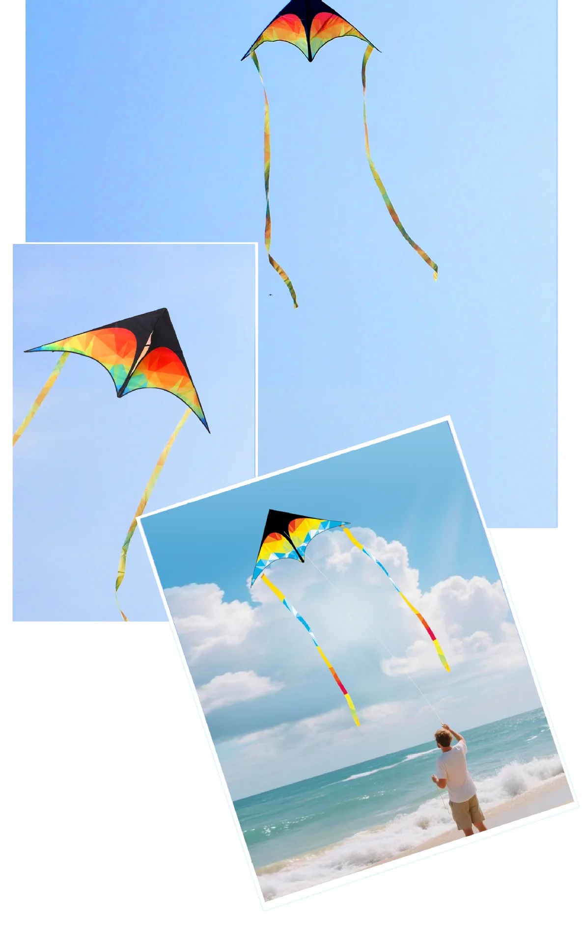 Vlieger Grasland Vlieger Breeze om te Vliegen Kinderen Volwassen Grote Vlinder Staart Vliegers String 50m Gingang Outdoor Fun Sport speelgoed Set