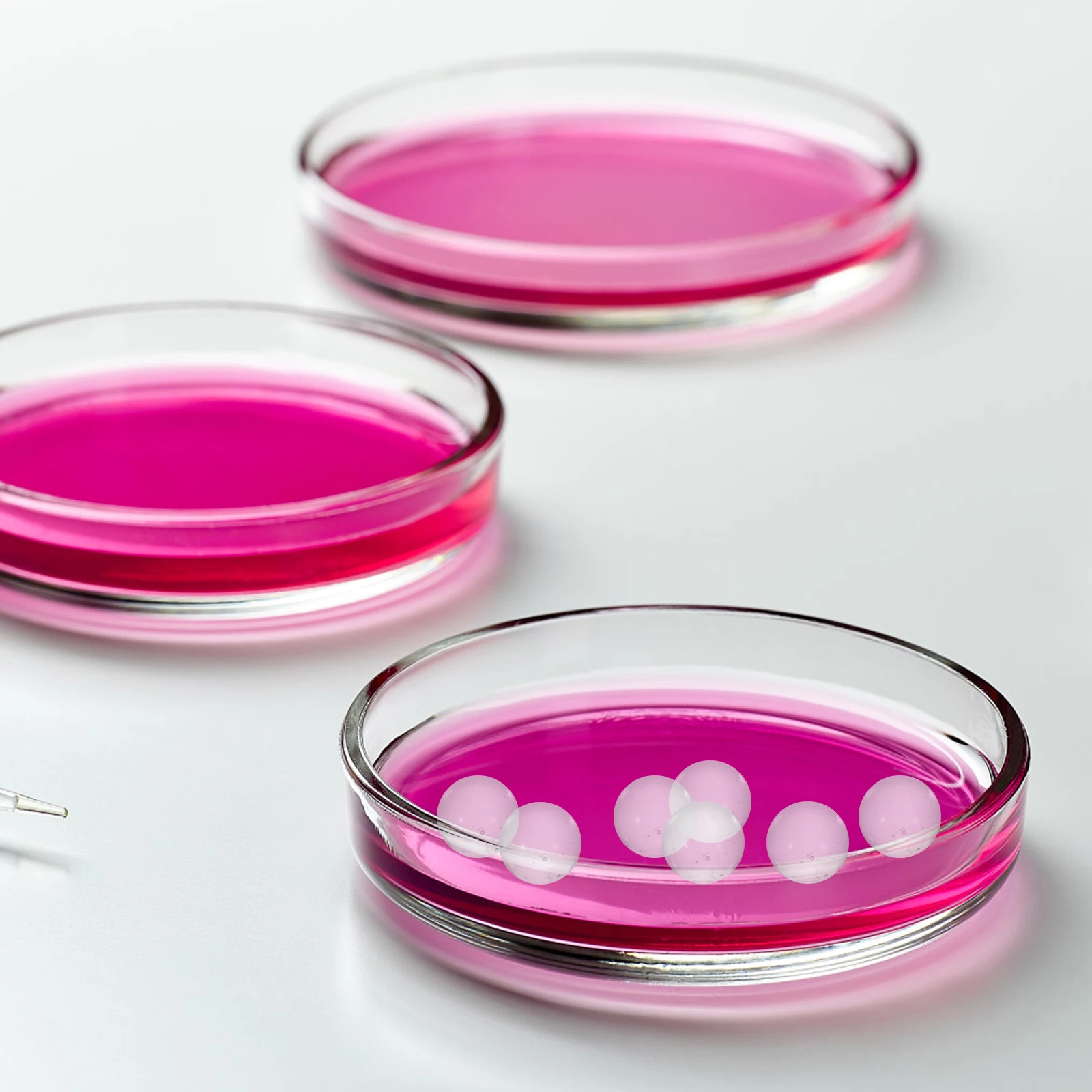 

2000Pcs Glass Ball Sphere High Hardness Transparent Small Mini Glass Balls Portable Storage Bags Bags