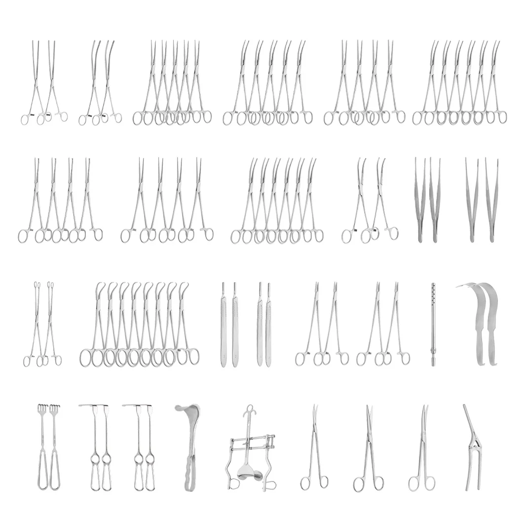 

Class I Non-active 77pcs Abdominal Surgery Medical Laparotomy Surgical Instruments Set