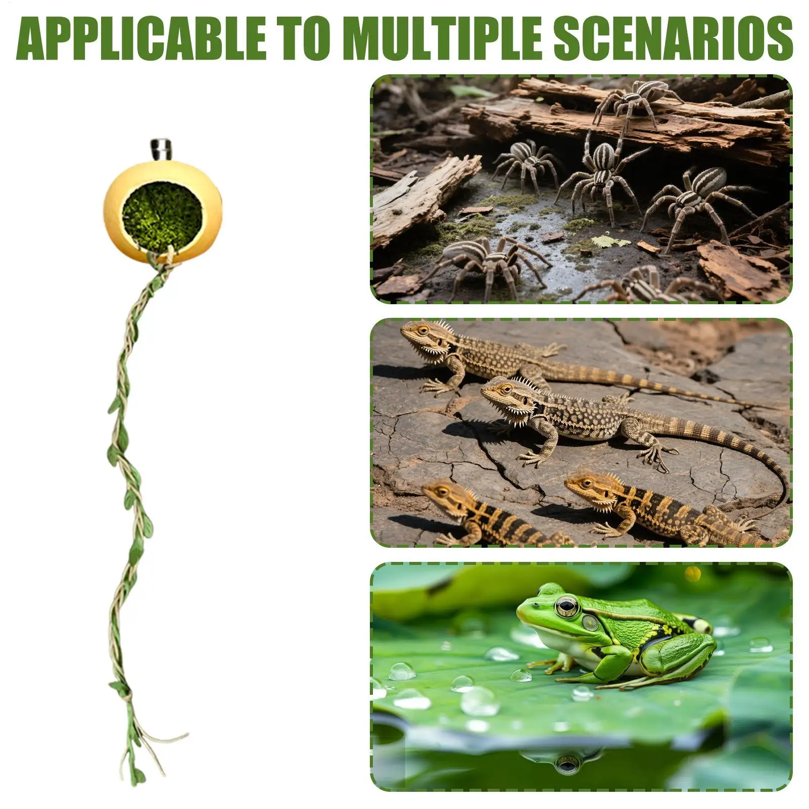 القفز العنكبوت إخفاء المغناطيسي القفز العنكبوت الموئل مخبأ اكسسوارات المنزل ل Arthropods حريش Geckos كريستيد أبو بريص