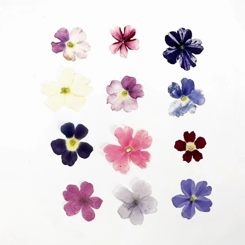 24 قطعة ، Verbena الزهور الجافة لتقوم بها بنفسك الراتنج جراب هاتف إطار صور النبات مسمار الفن ومستلزمات ماكياج الحرفية ، مجموعة أدوات الزهور المضغوطة