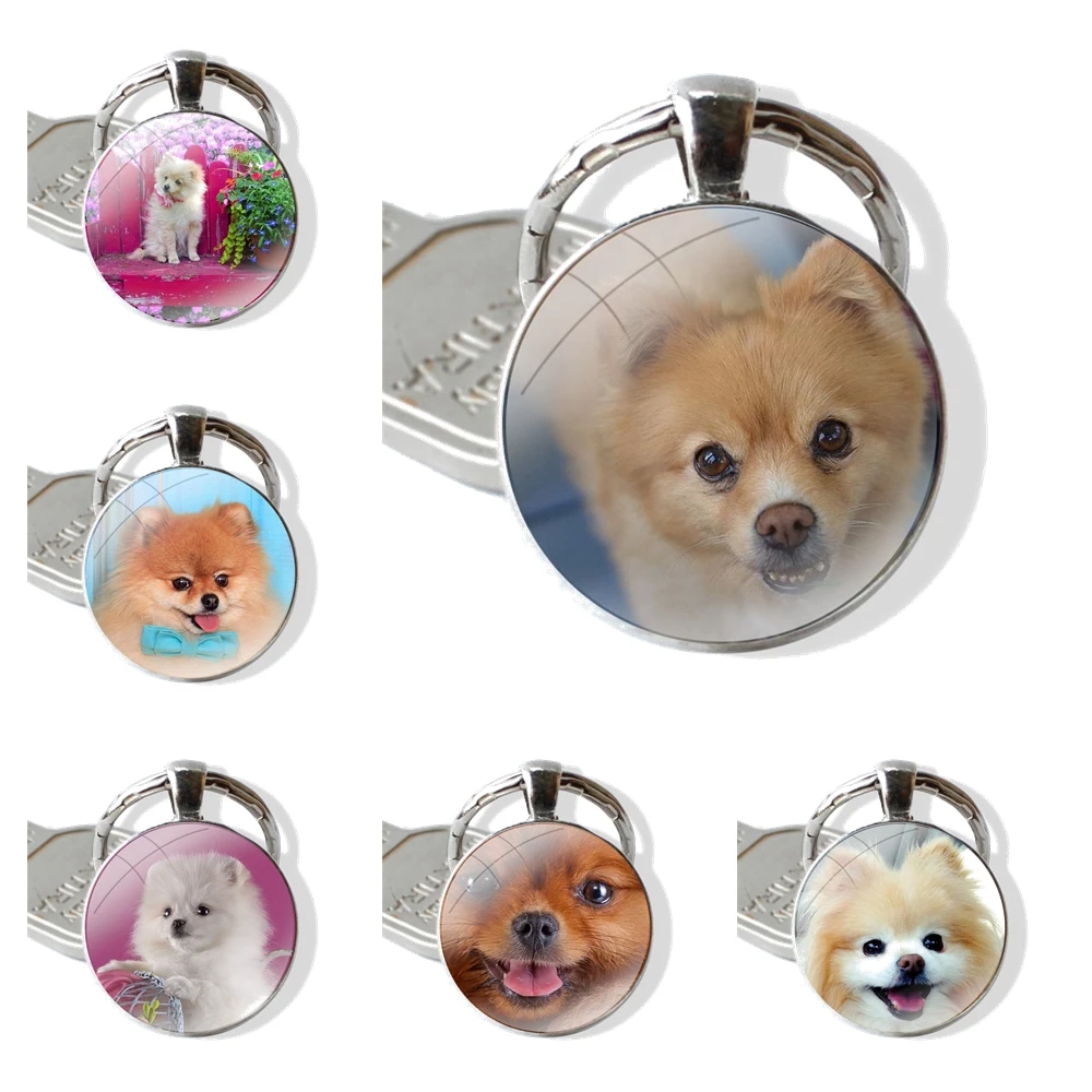 Keychain Handmade Glass Cabochon Key Ring Holder Pendant Key Chains Cute Pet Pomeranian Dog