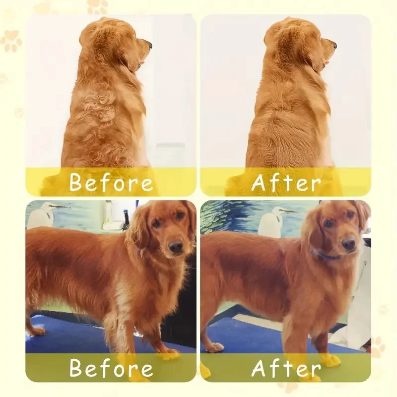 Steamy Dog Brush Electric Spray Cat Hair Brush 3 In1 Dog Steamer Brush for Massage Pet Grooming Removing Tangled and Loose Hair
