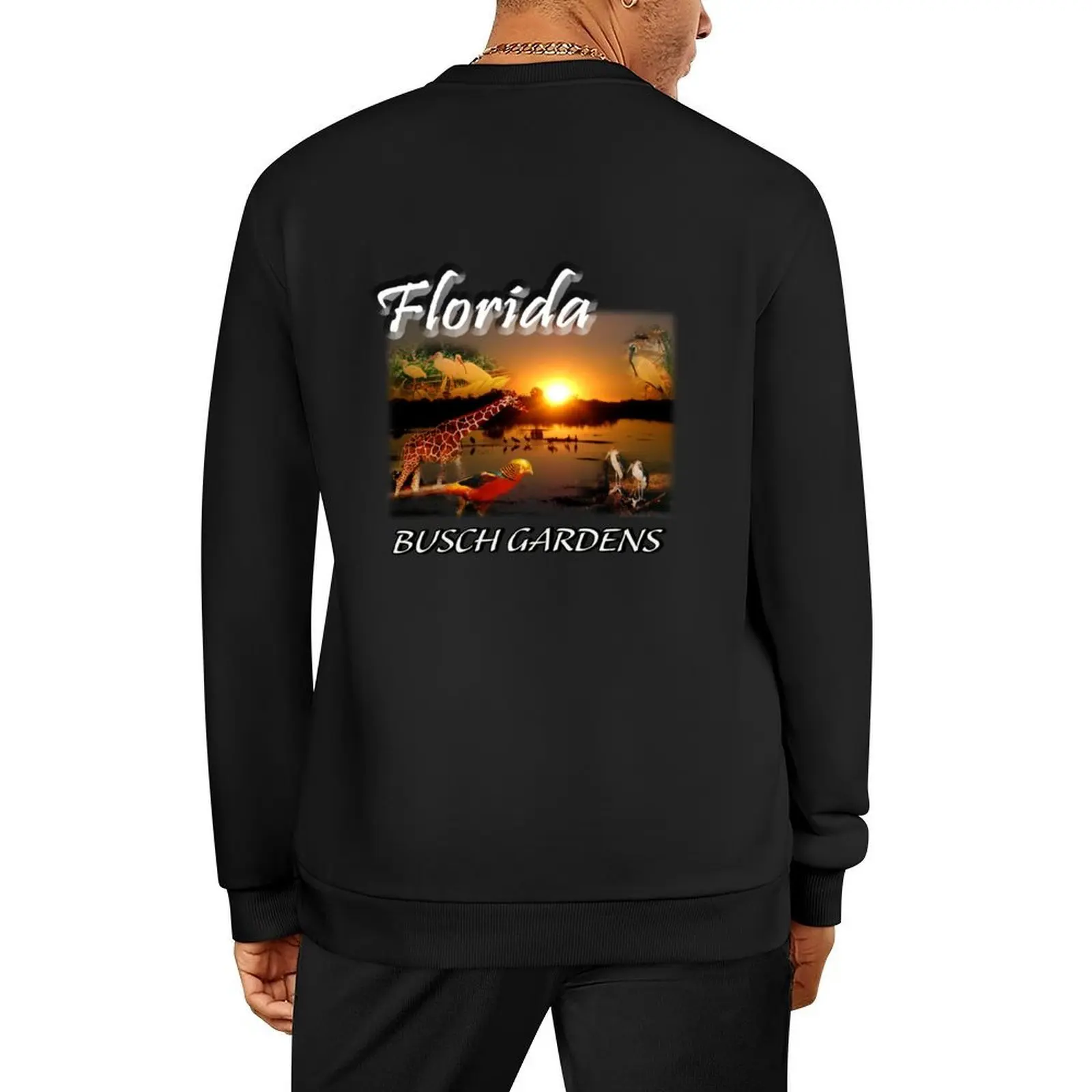 

Florida (Busch Gardens) Pullover men's sweat-shirt set clothes for men korean style clothes blouse hooded sweatshirt