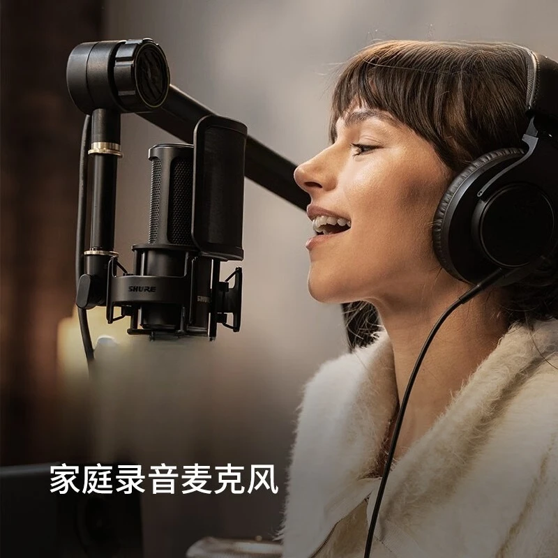 Large diaphragm condenser microphone Dual diaphragm personal recording microphone