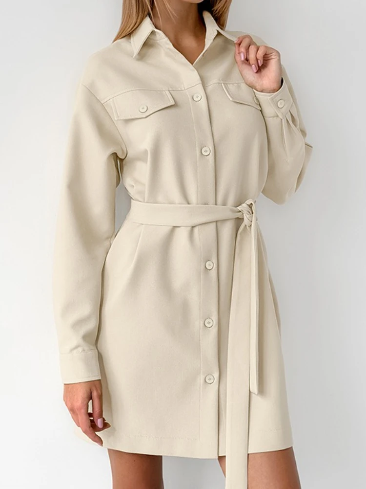 Stijlvolle temperamentjurken Dames Casual revers Lange mouw Single Breasted Lace Up Mini-jurk Dagelijks woon-werkverkeer Vintage slanke jurk