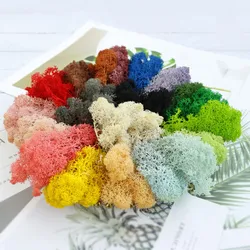 60/100g Artificial Green Plants Fake Grass Eternal Life Moss Grass DIY Crafts Mini Landscape for Living Room Garden Decor