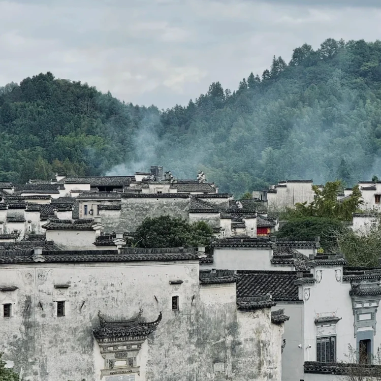 

JX Servo BLS6534HV Цифровой бесщеточный сервопривод — крутящий момент 33,7 кг @ 7,4 В, 0,11 с/60 ° , Металлическая шестерня 2BB, детали JR Connector RC FPV