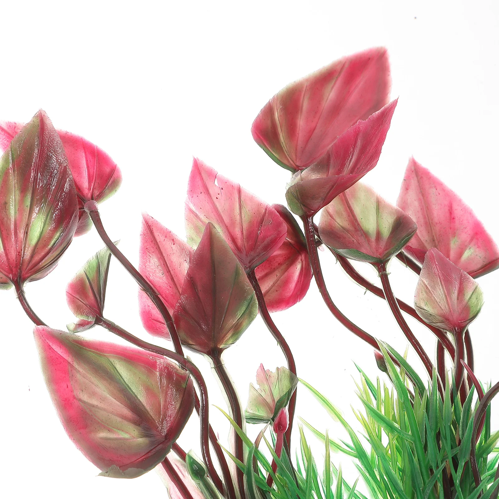 

10Pcs Fake Aquatic Plants Fish Tank Decorations Lifelike Aquarium Plants Freshwater Underwater Grass Decors Aquarium Decor