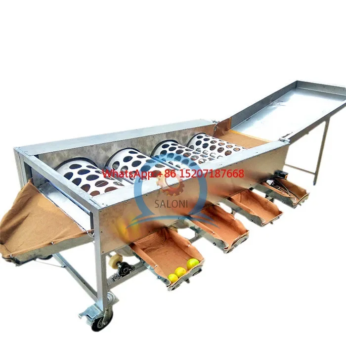 

garlic shiitake sorting grading machine/blueberry walnut sorter grader/oyster mushrooms size classification machine