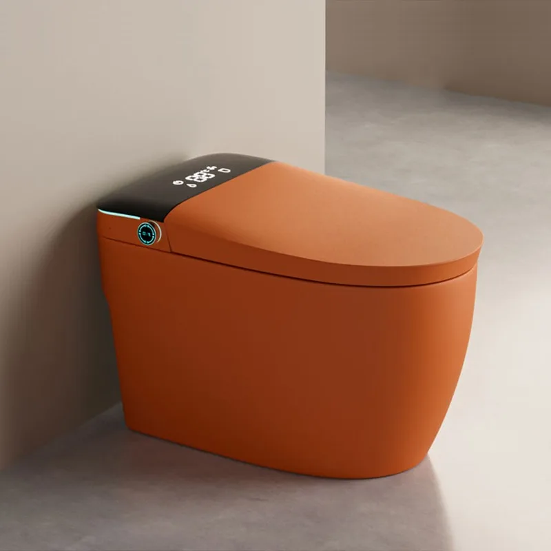 Aesthetic Multifunctional Smart Toilet Nordic Floor Bowl Cleaner Seat Cover Foam Toilet Japanese Sanitary Slimme Wc Furniture