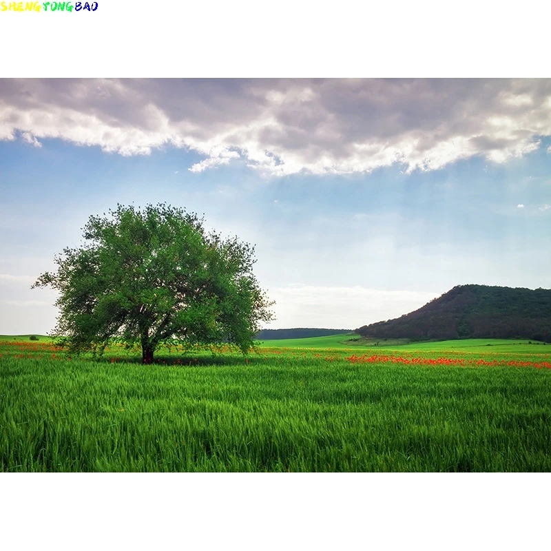 خلفية التصوير الفوتوغرافي للمناظر الطبيعية ، المناظر الطبيعية في النهر ، قطرات travelpoto ، الدعائم في الاستوديو ، صخور الغابات ،