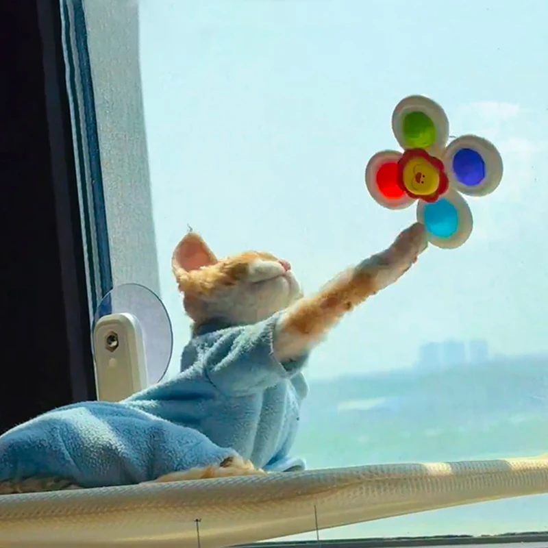 3 Peças Brinquedos de Banho para Gatos, Pião Giratório Divertido para Dedo, Brinquedo Giratório com Ventosa para Gatinhos, Brinquedos Giratórios Aquáticos, Presente para Entusiastas de Animais de Estimação