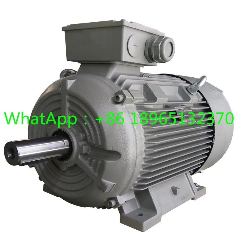 1LE0002-1DA33-3AA4      1LE00021DA333AA4    New Original Motor