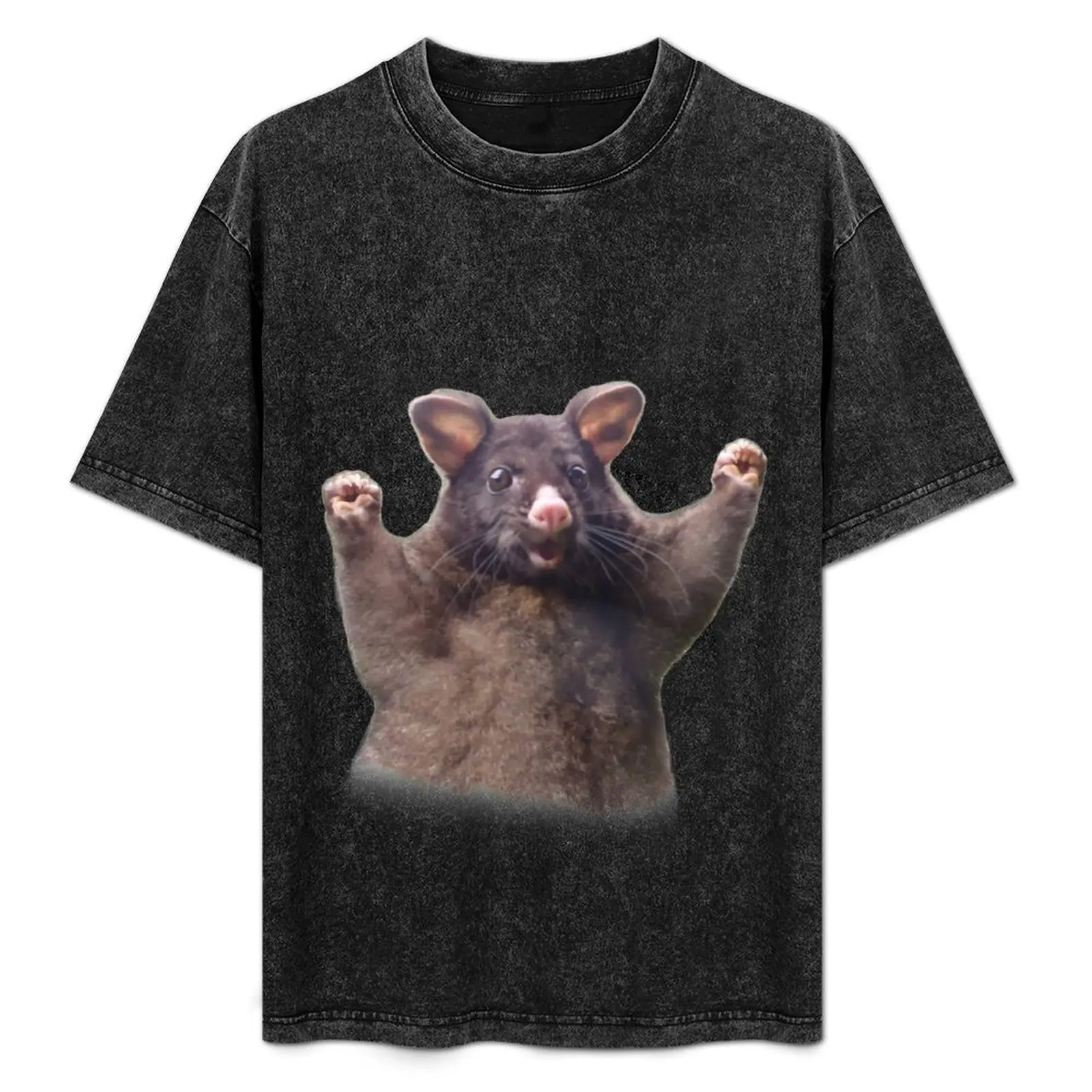 

wahoo rat - positive possum meme T-Shirt Big Size Short Sleeve Tee for Men