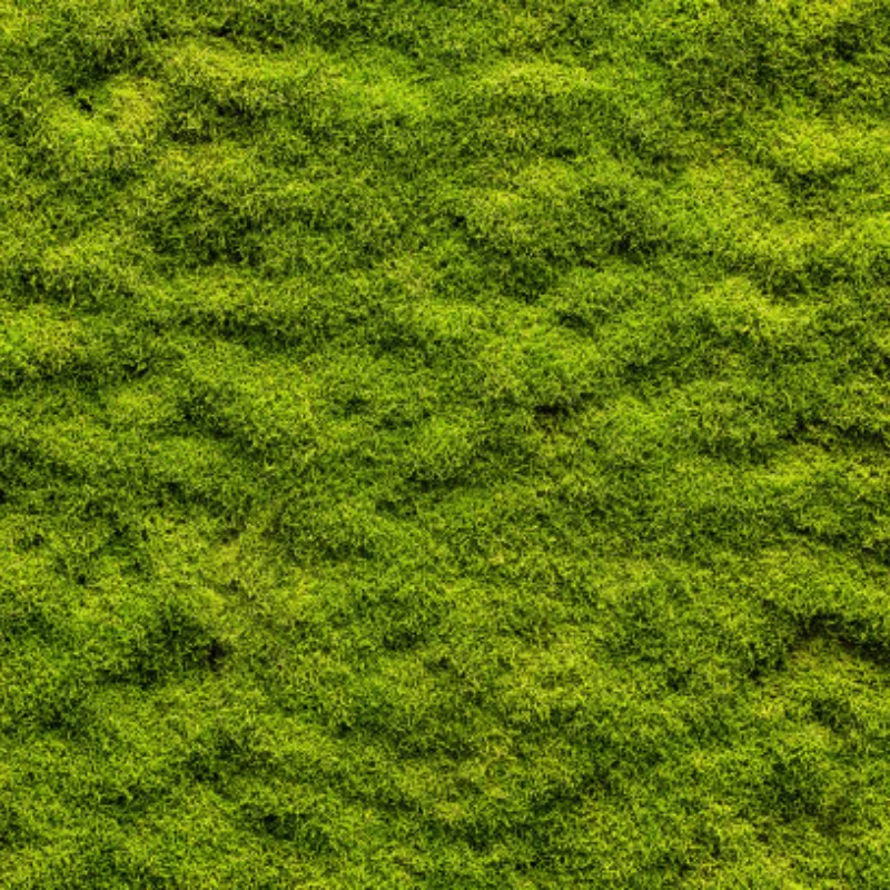 Utilisé pour FeiShen FS 1/8 réservoir, décalages, guépard, ATOM, léopard, tonnerre, pièces de voiture RC bras inférieur amélioré en métal