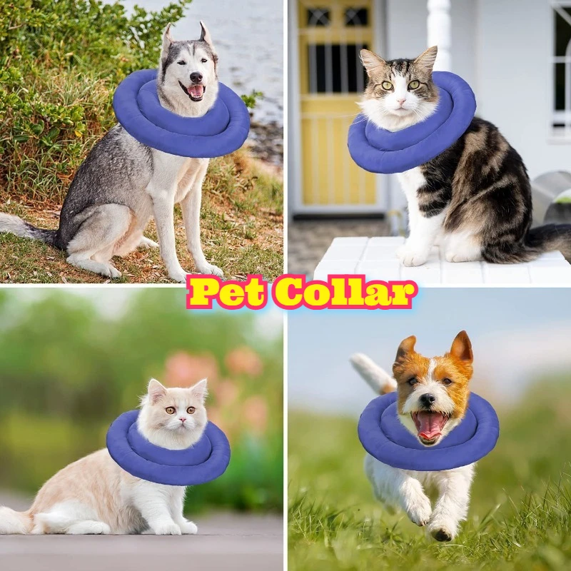 

Lightweight French Bulldog Elizabeth Cone Cat Dog Recovery Collar Pet Neck Protector Waterproof Anti Lick Inflatable Adjustable