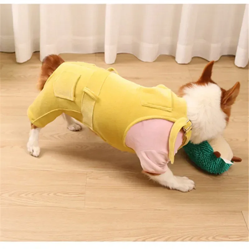 Pembroke Welsh Corgi Dog Clothes Jumpsuit Overalls Romper Autumn Spring Winter Pet Outfit Dog Clothing Dropship Pet Product