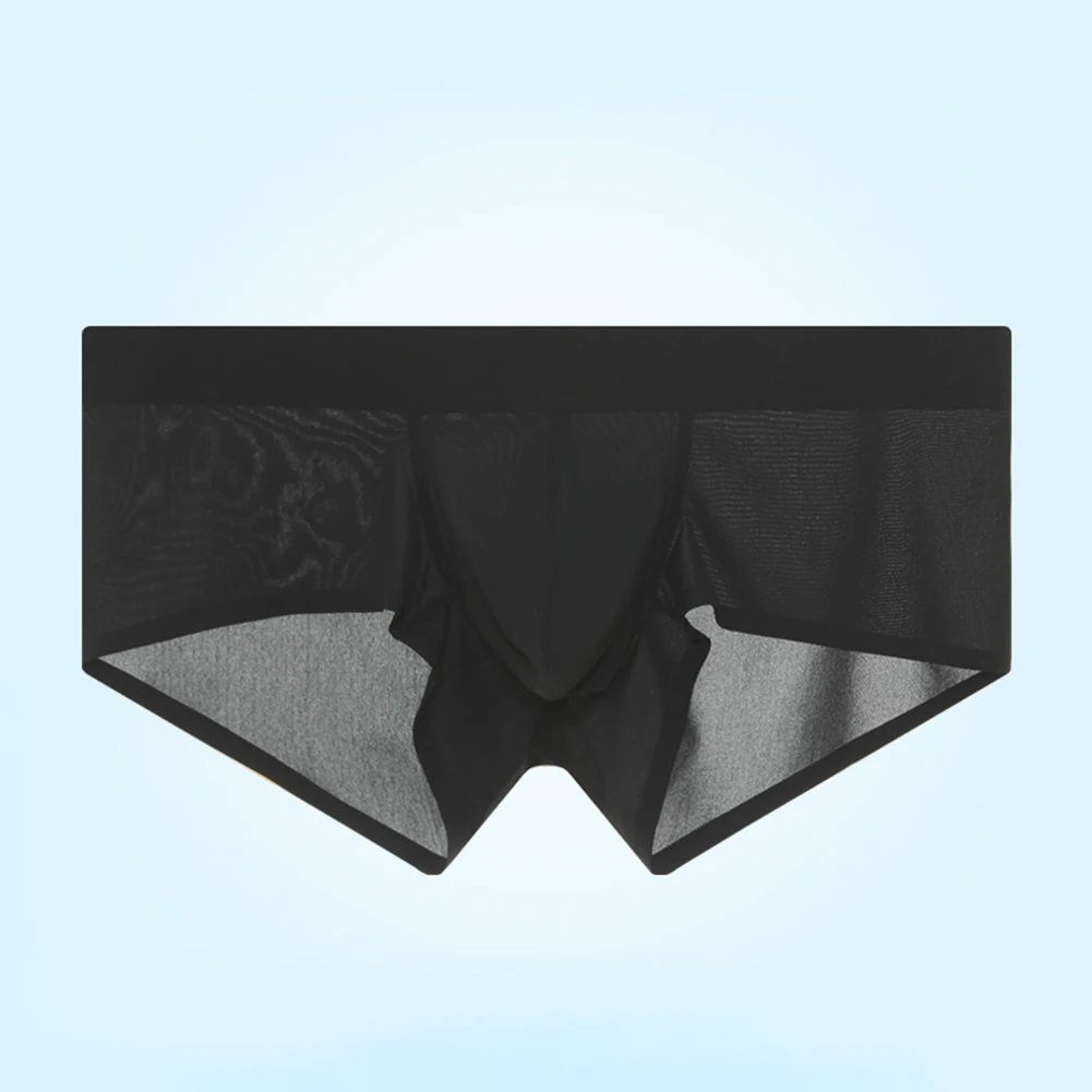 Mens Ice Silk Sheer Transparent Briefs Underwear Trunks Shorts Bulge Pouch Underpants Breathable Traceless Males