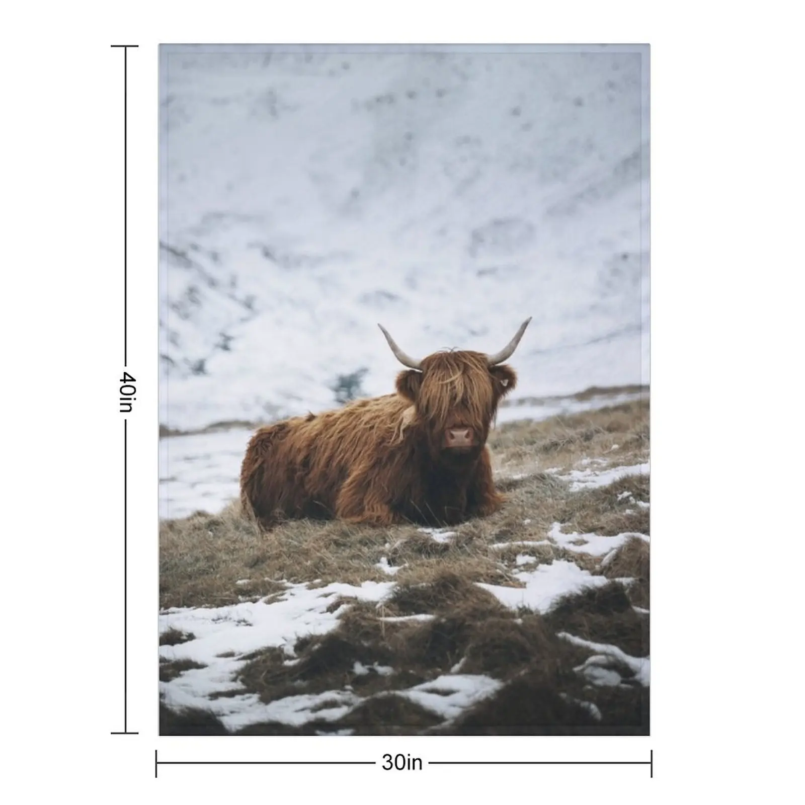 Highland Cow - Realistic Throw Blanket For Baby Decorative Throw for winter manga Soft Plush Plaid Furrys Blankets