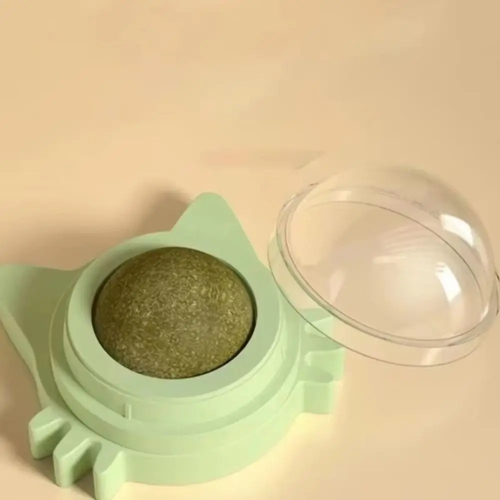 View 3