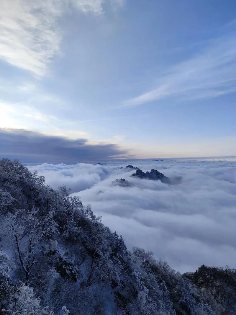

Защитная пленка для фар автомобиля, прозрачная черная наклейка из ТПУ для восстановления фар, для Skoda Octavia 2017 2018 2019, аксессуары