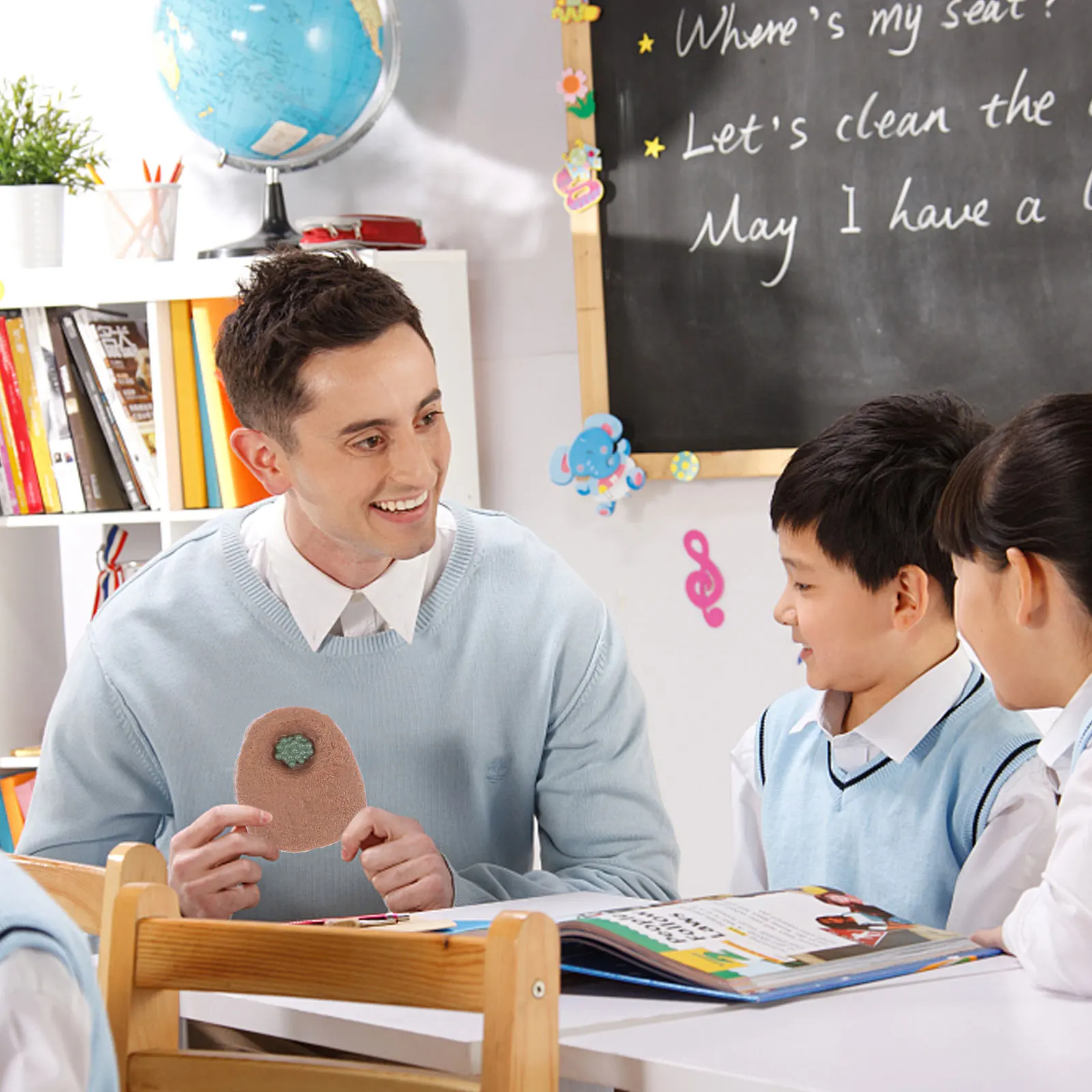 

1Set Horseshoe Crab Educational Animal Evolution Display Durable Early Learning Science Cognition Desktop Decor Growth Cycle