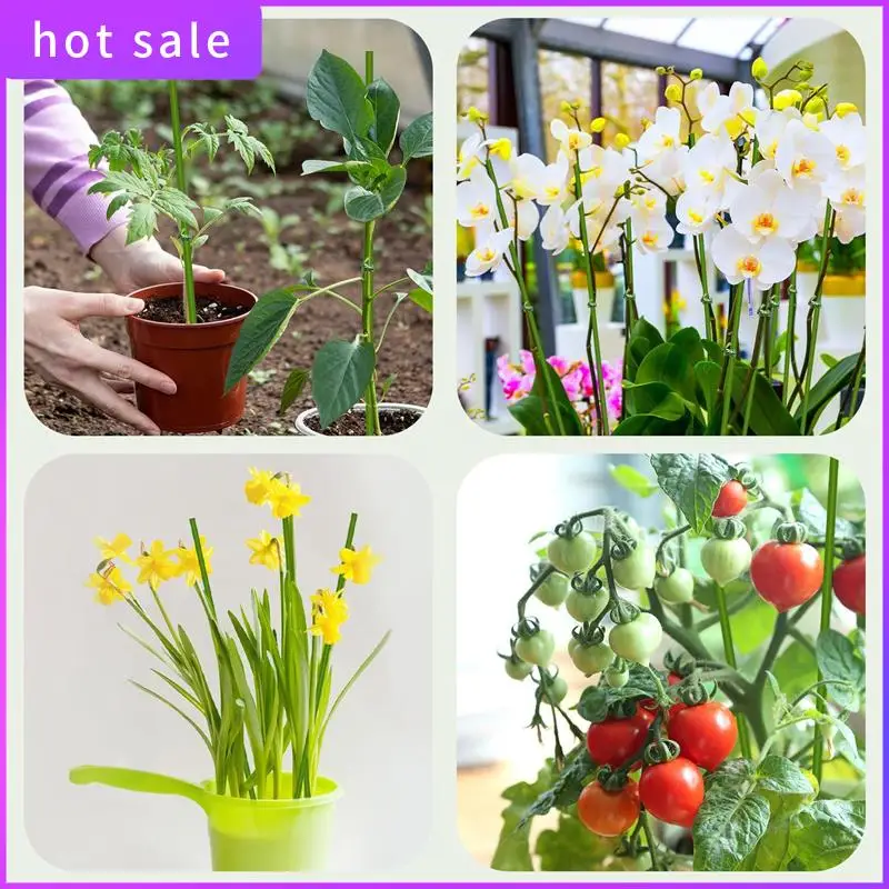 Plant Stakes Stakes Suitable For Indoor Plants,20Pcs Garden Green Bendable Single Stem
