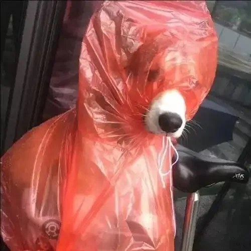 

Подходит для ремонта поверхности краски Honda Civic, жемчужно-белая прозрачная ручка для краски, набор ручек для ремонта краски