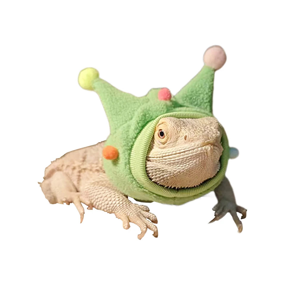 Lizards Halloween Hat Bearded Dragon Fleece Horned Hat With High Elastic Wool Ball Scarf Costume Reptiles Hoodies Clothes Geckos