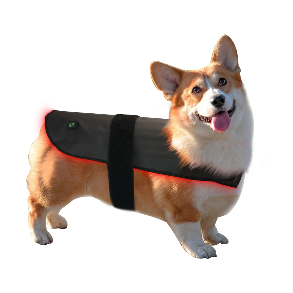 

Red Light Infrared Dog Back Injury Recovery Mat LED Red Infrared Light Dog Care Wrap