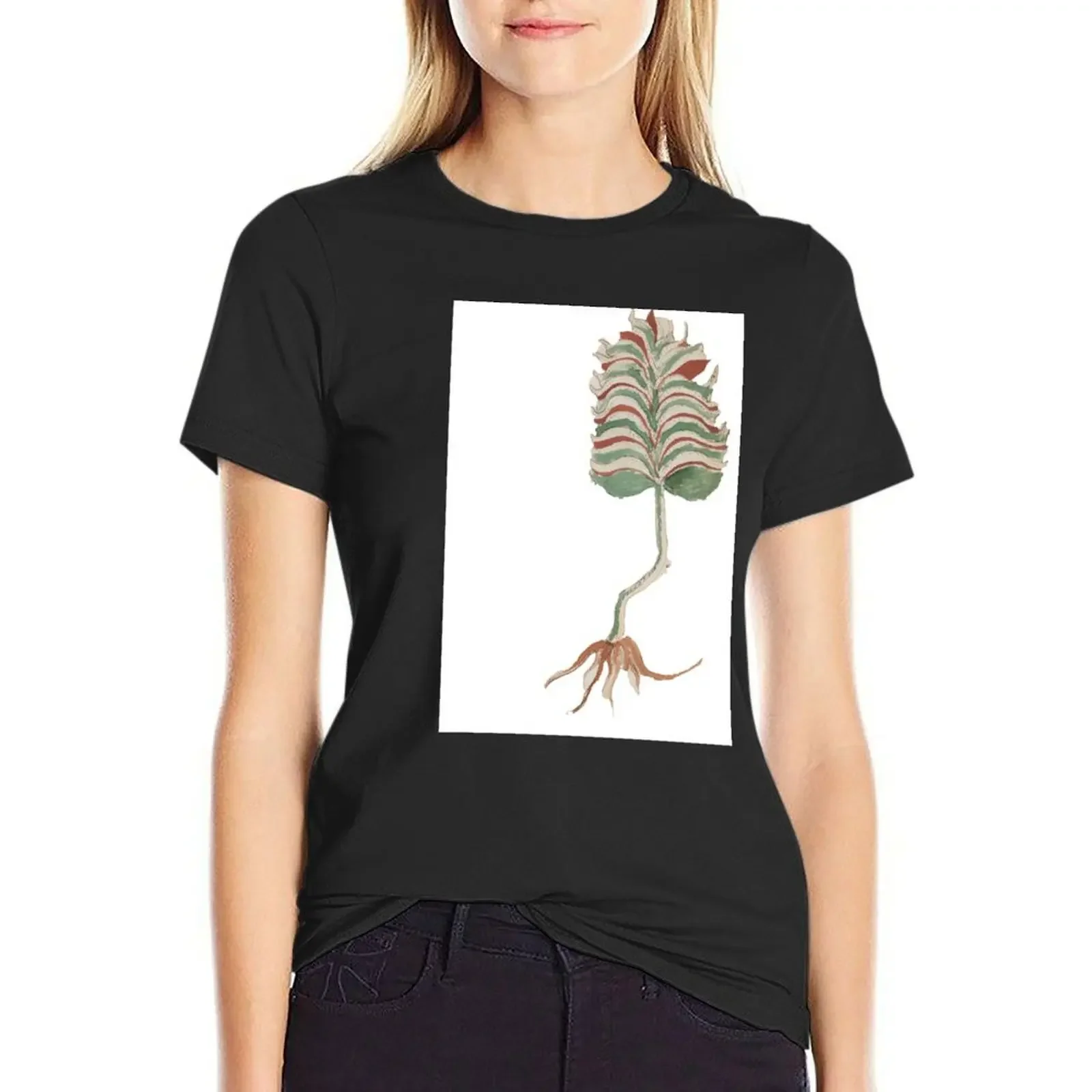 

Voynich Manuscript Plants T-Shirt blacks anime korean fashion animal print luxury designer clothing Women