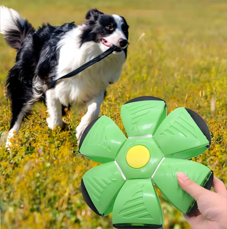 

Sustainable Flexible UFO Flying Disc Ball Saucer with 3 Lights Interactive Decompression Magic Toy for Pets Pet Movement Toy