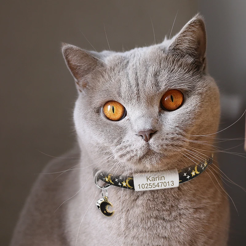 Personalized Name Tag Cat Collar Bell Custom Nameplate Safety Breakaway Cat Collar Adjustable Cute Star Moon Cat Collar Necklace