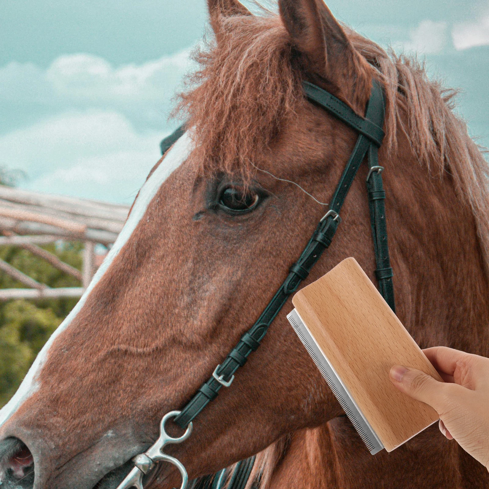 

Pet Hair Removal Comb Dog Brush for Shedding Deshedding Combs Pets Grooming Tools Light Brown Bridegroom