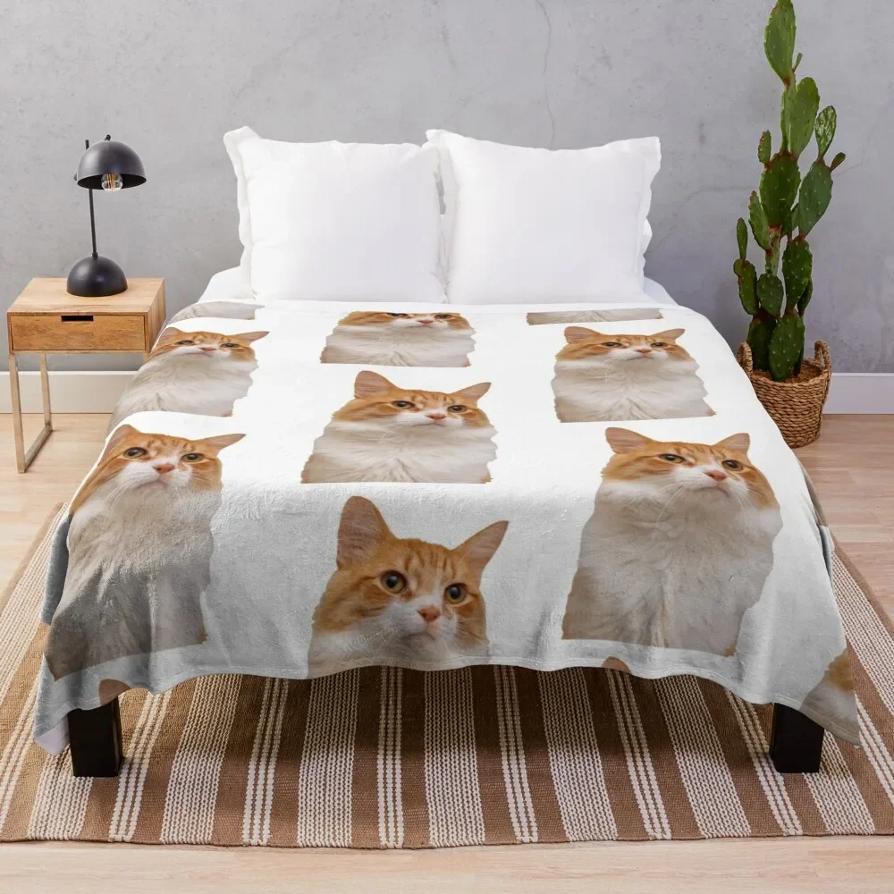 

Handsome Ginger Cat Throw Blanket Fluffy Shaggy Soft Plush Plaid Blankets