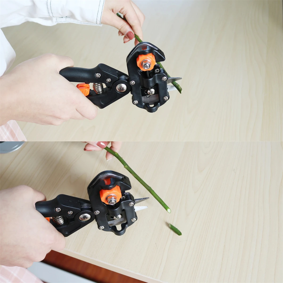 幅20/30/60/100mm 伸縮性粘着PE接木テープフィ - Rooting Hormone Powder のレビューと価格